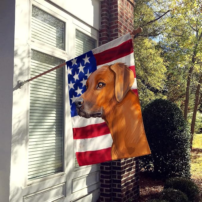 Caroline's Treasures CK6676CHF Rhodesian Ridgeback Dog American Flag House Flag Large Porch Sleeve Pole Decorative Outside Yard Banner Artwork Wall Hanging, Polyester, House Size, Multicolor