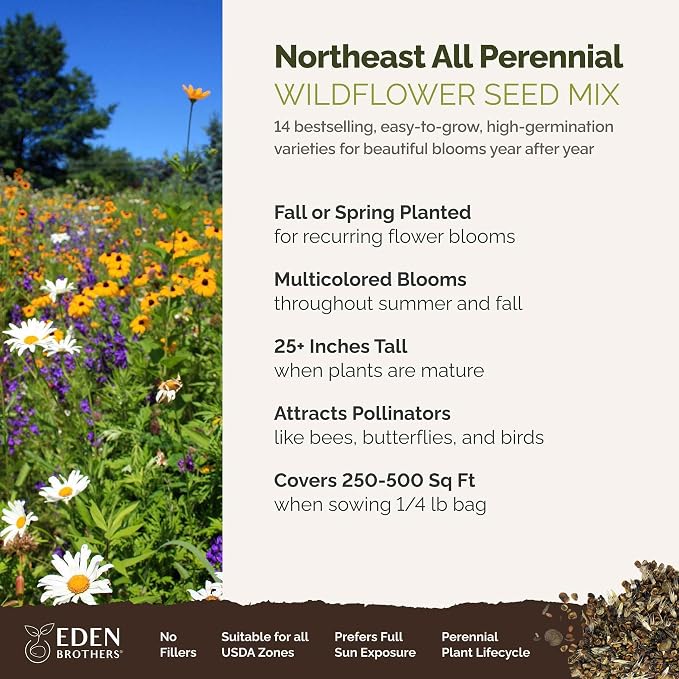 Eden Brothers Northeast All Perennial Wildflower Mixed Seeds for Planting, 1/4 lb, 120,000+ Seeds with Milkweed, NE Aster | Attracts Pollinators, Plant in Spring or Fall, Zones 3, 4, 5, 6, 7, 8, 9, 10