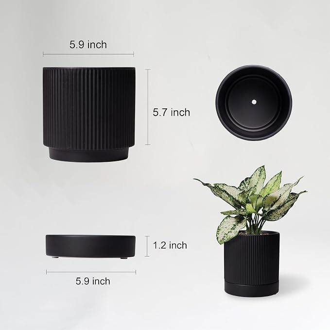 HERDUK 6 Inch Ceramic Plant Pot with Drainage & Saucer - Indoor Planter for Succulents, Cacti & Aloe Vera - Striped Design, High-Temp Fired Clay, Lightweight Modern Decor