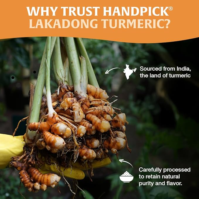 HANDPICK Lakadong High Curcumin Turmeric Powder (226g/ 8oz) Non GMO, Gluten Free, 100% Raw, Sourced from India, High Curcumin, Premium Quality, Packed in Resealable Ziplock Pouch