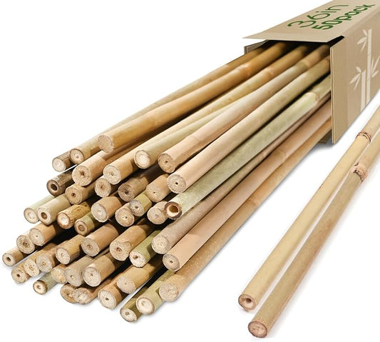 Cambaverd Bamboo Stakes 3ft, 50 Pack Bamboo Garden Stakes 3 Feet, Natural Plant Stakes for Tomatoes and Climbing Plant Support, Bamboo Sticks for Plants