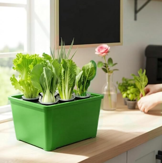 Hydroponics Growing System Kit, 6 Pods Indoor Herb Garden with Pump, Germination System for Vegetables, Lettuce, Basil Growing Plant Propagation (Green)