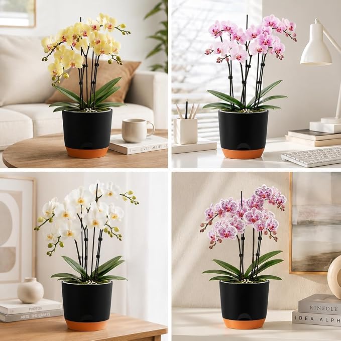 QCQHDU 5.7Inch Orchid Pots with Holes for Repotting, Double-Layer Plastic Self Watering Flower Pots for Indoor Plants with Drainage Holes, Clear Orchid Pot Match Decorative Orchid Container, 1Pack