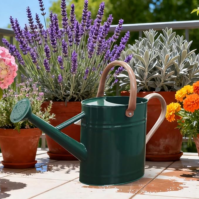 Metal Watering Can with Removable Spout, 1 Gallon Watering Cans Stainless Steel Handhold for Outdoor Indoor Garden Plants Watering (Green)