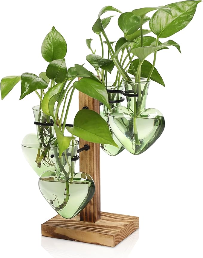 Plant Terrarium Propagation Stations with Wooden Stand | Glass Vase for Indoor Hydroponics Home Garden Office Decoration Gift for Women - 4 Love Bulb Vase
