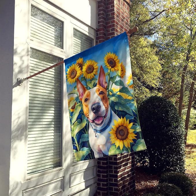 Caroline's Treasures DAC6070CHF English Bull Terrier in Sunflowers House Flag Large Porch Sleeve Pole Decorative Outside Yard Banner Artwork Wall Hanging, Polyester, House Size, Multicolor