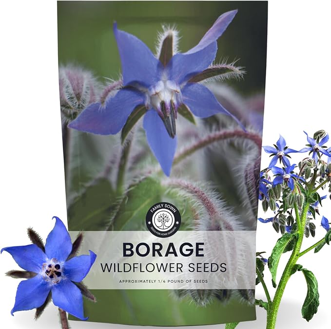 Borage – 4,000 Seeds for Planting – 2026 Season – 4 Ounce Pouch