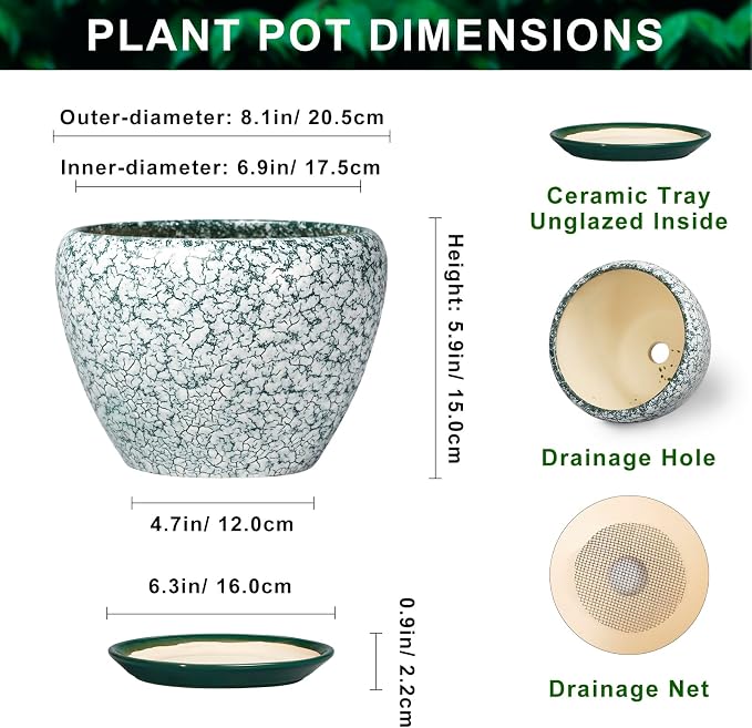 Ceramic Flower Pot, 8 Inch, Crackle Green | Round, Drainage Hole and Saucer, Indoor Outdoor, Modern Decorative