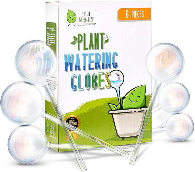 Little Green Leaf Automatic Plant Watering Globes Self Watering Planter Inserts (Set of 6) | Hands Free Clear Glass Bulbs | Planter Spikes to Support Indoor & Outdoor Plant Health (200ml)