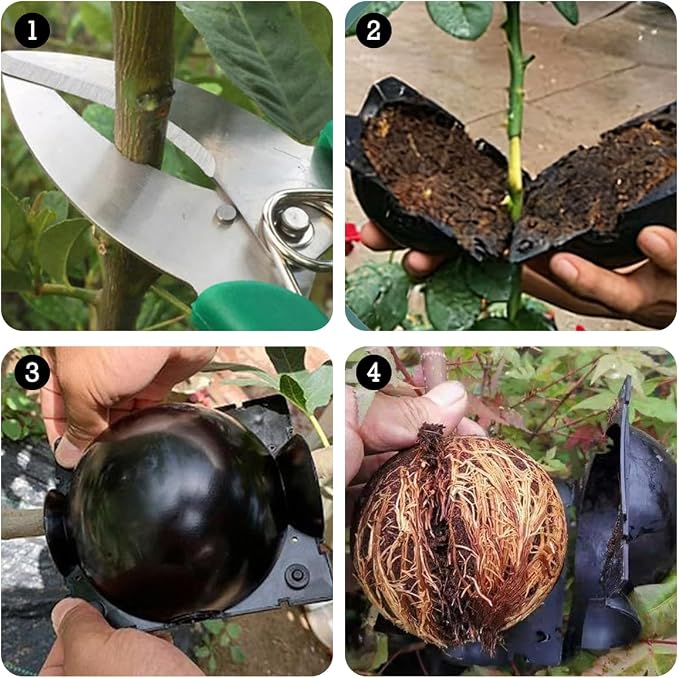 30 PCS Air Layering Propagation Kit with Zip Ties, Black Reusable Air Layering Pods, Plant Root Growing Box, Tree Rooting Grafting Box for Fast Propagation Plants (10S+10M+10L)