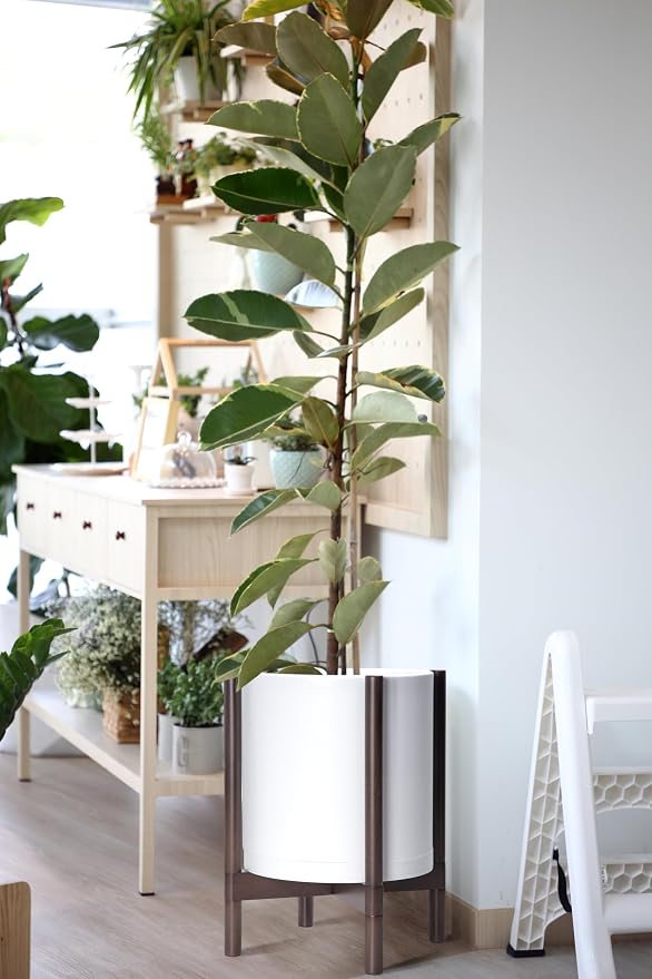 D'vine Dev Planter with Stand - 12 Inch Plastic Cylinder Flower Pot with Wood Holder for Indoor, Matte White Pot + Walnut Color Stand, 55-C-O-1