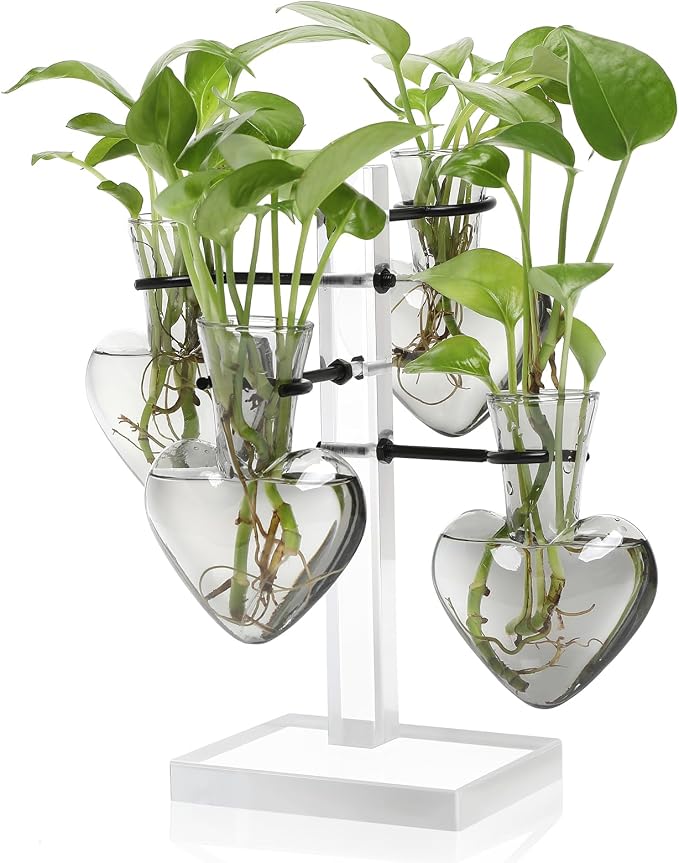 Plants Propagation Stations Plant Terrarium Kit Gift for Women | Birthday Glass Planters For Indoor Plants Home Office Decor Acrylic Plant Accessories - 4 Love Hear Vase