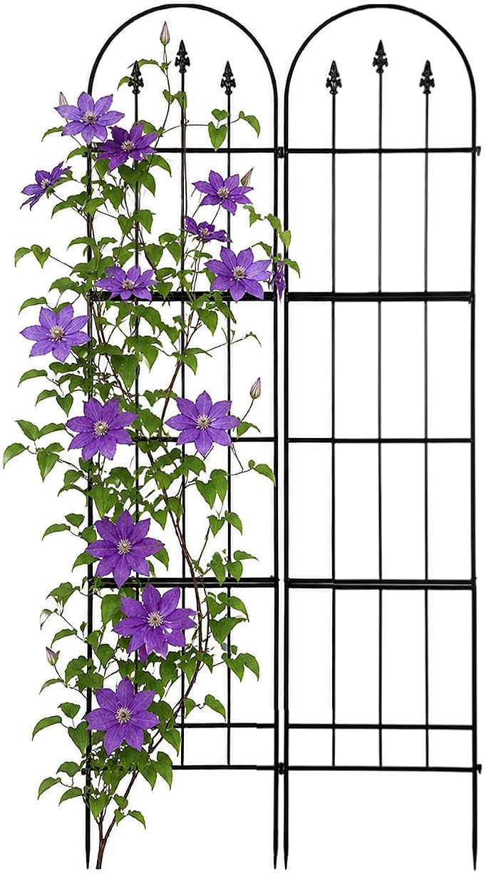 2 Pack Garden Trellis for Climbing Plants Outdoor - 16'' W x 71" H Large Rustproof Metal Plant Support Trellis, Decorative Panels for Climbing Rose, Clematis and Trumpet Vine