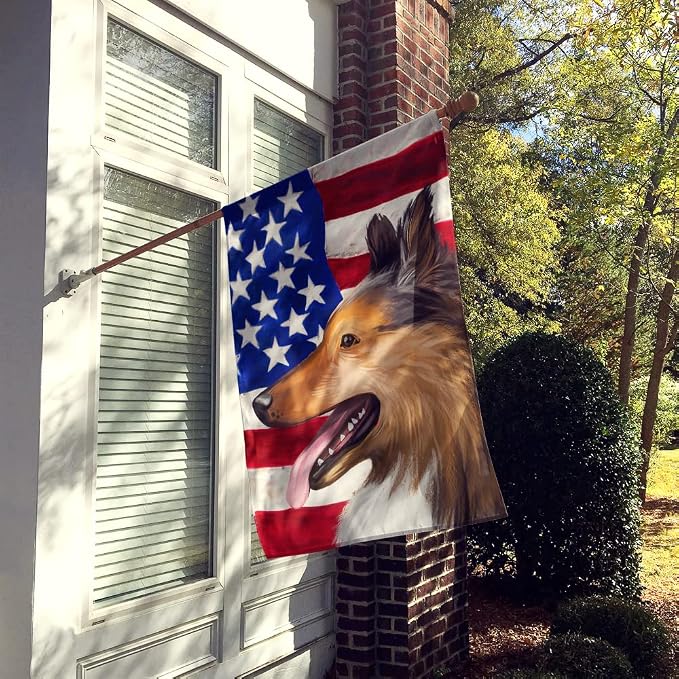 Caroline's Treasures CK6493CHF Collie Smooth Dog American Flag House Flag Large Porch Sleeve Pole Decorative Outside Yard Banner Artwork Wall Hanging, Polyester, House Size, Multicolor