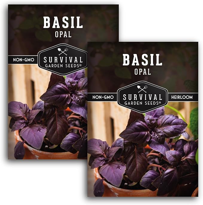 Opal Basil Seeds for Planting - Survival Garden Seeds (2 Pack) | Dark Purple, Nearly Black Leaves - Unique Herb Seed Variety - Heirloom, Non-GMO Herbs for Home Gardens