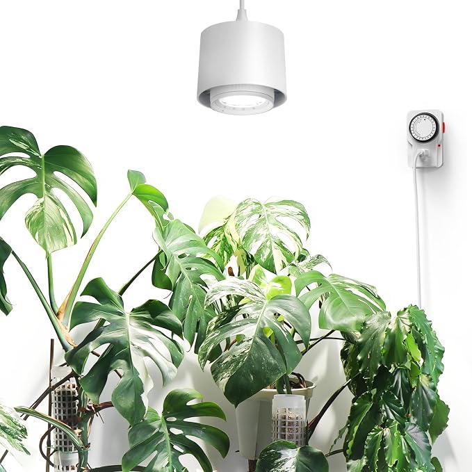 Barrina TR40 Hanging Plant Lights for Indoor Growing, 40W 5000K Full Spectrum, Adjustable Beam Angle (15°-60°), High PPFD, Spotlight Grow Light with Timer for Indoor, Large Tall Plant, Flowers, White