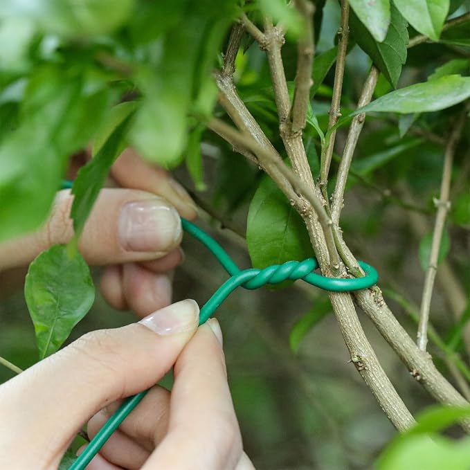 Zhengmy 150ft/46m Green Garden Wire, Sturdy Plant Ties with Wire Cutter, Twist Garden Ties Gardening Supplies 2.5 mm Diameter for Supporting Climbing Plants Office Organization and Decoration Binding
