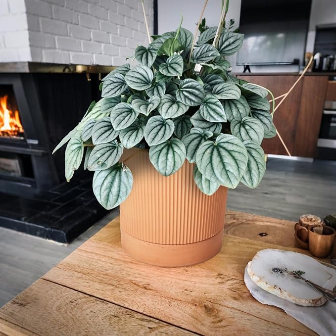 HERDUK Modern Terracotta Pots, 6 Inch Ribbed Textured Clay Planter Pots with Drainage Hole & Saucer, Garden Pots for Indoor/Ourdoor Plants, Succulent Cactus & Herb
