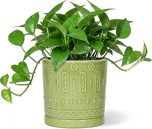 Eightpot Ceramic Flower Pots, 6 Inch Planter for Indoor Plants Outdoor, Round Pots for Plants with Drainage Hole and Tray, Modern Decorative Plant Pot, Bathroom Decor, Green