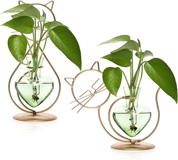 Plant Terrarium Plant Propagation Station Cat Lover Gifts for Women | Plant Lovers Home Office Decor Cat Desk Accessories
