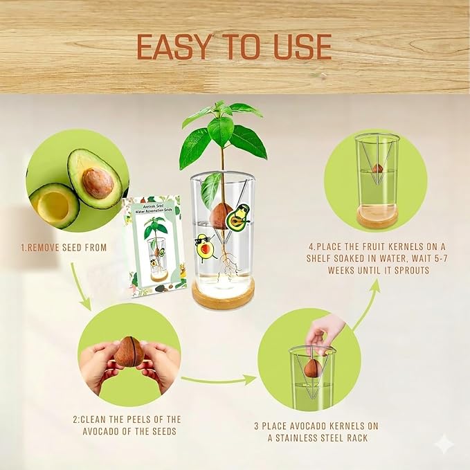 Avocado Seed Starter Vase - Avocado Tree Growing Kit with Base and Sticker, Glass Avocado Pit Sprouting Plant Pot Gift for Women, Gardening Lovers Home Office Table Decoration, Indoor No Seed