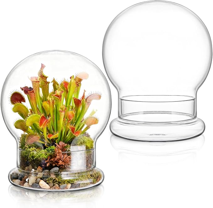 2 Pack Round Glass Cloche Domes with Air Hole and Base, 4.6 X 6.6 Inches Clear Terrarium Planter, Cloche Planters, Terrarium Bell Jar, Humidity Dome for Plants, Borosilicate Glass