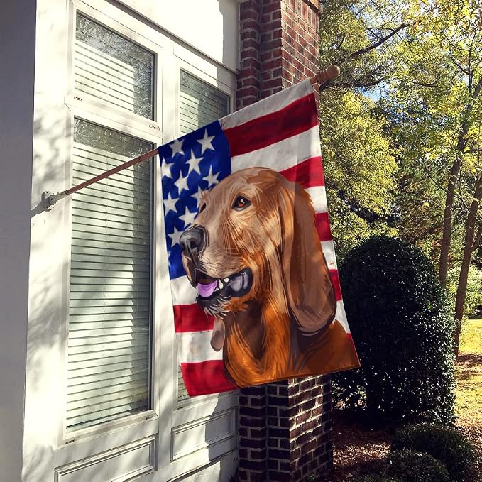 Caroline's Treasures CK6698CHF Segugio Italiano Dog American Flag House Flag Large Porch Sleeve Pole Decorative Outside Yard Banner Artwork Wall Hanging, Polyester, House Size, Multicolor
