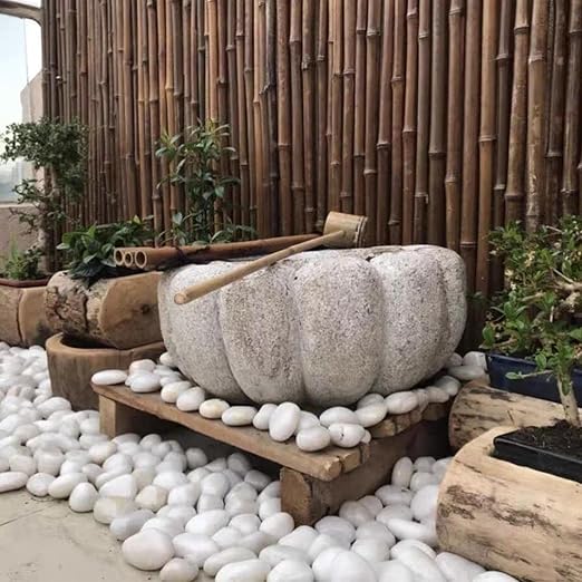 FANTIAN 10 lbs Large River Rocks for Landscaping, 2-3 Inch Polished White Pebbles for Plants, Decorative White Stones for Planters Vase Aquarium and Outdoor Garden Rocks
