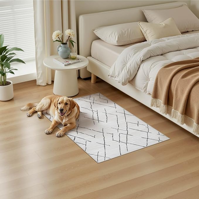 kakania Washable 2x3 Area Rug for Entryway: Boho Geometry Home Decor Rug | Soft Stain Resistant, Low-Pile, Non-Slip, Pet & Kid Friendly, Thin Carpet for Hallway/Kitchen/Bathroom - Light Grey