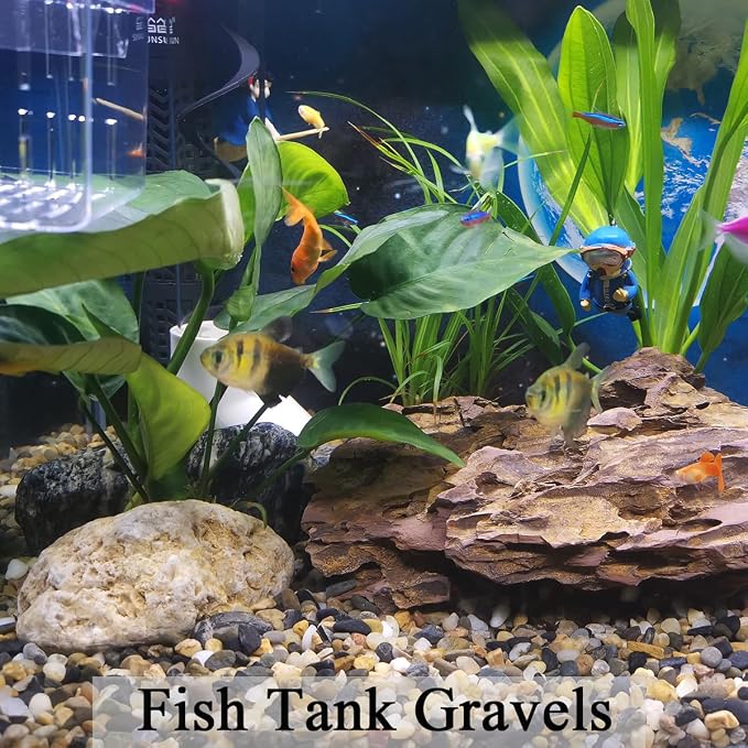 FANTIAN 10 lbs Pea Gravel for Landscaping,1/4 Inch Aquarium Gravel. Decorative River Rocks for Fish Tank Succulent Vase Cactus Bonsai Plant Soil Cover and Outdoor Landscaping Rocks