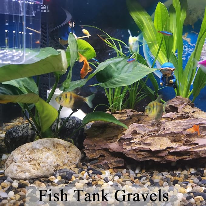 FANTIAN Aquarium Gravel, 1/4 inch Fish Tank Gravel, 2 lbs | Natural Small Pebbles, Safe for Fish, Unpolished Pea Gravel, Succulent Soil Drainage,Terrarium,Outdoor Pond Landscape