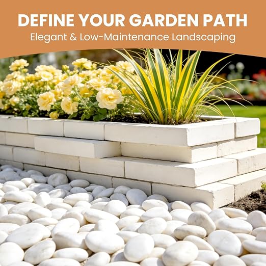 12lbs White River Pebbles for Landscaping, 2-3 Inch Polished River Rocks for Garden Décor, Decorative Rocks for Plants, Planters, Vase Fillers, Aquarium, Outdoor Walkways & Crafting