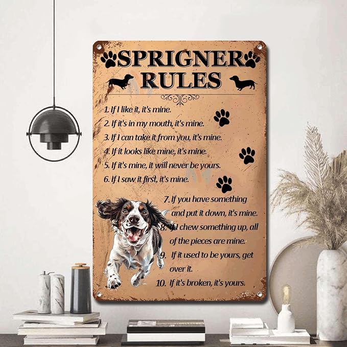 Metal Sign Tin Sign Vintage Wall Art Springer Rules Boho Office Decor for Pub 8×12 Inches