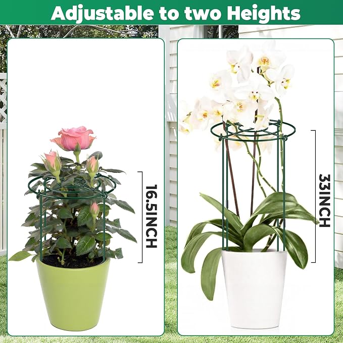 QwayHome 3Pack Peony Cages and Supports 33''H x 13''D Grow Through Large Plant Support, Adjustable High, Heavy Duty, Rust-Resistant, Round, Flower Support Cage Ring for Rose Tomato Hydrangea