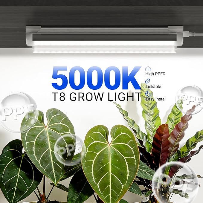 Barrina T8 1FT Grow Light, 5000K Full Spectrum, Linkable, High PPFD, 6-Pack | LED Grow Light Strips, 90W(6x15W), V-shaped Reflector, Hanging Plant Lamp for Seed Starting, Greenhouse, and Indoor Plants