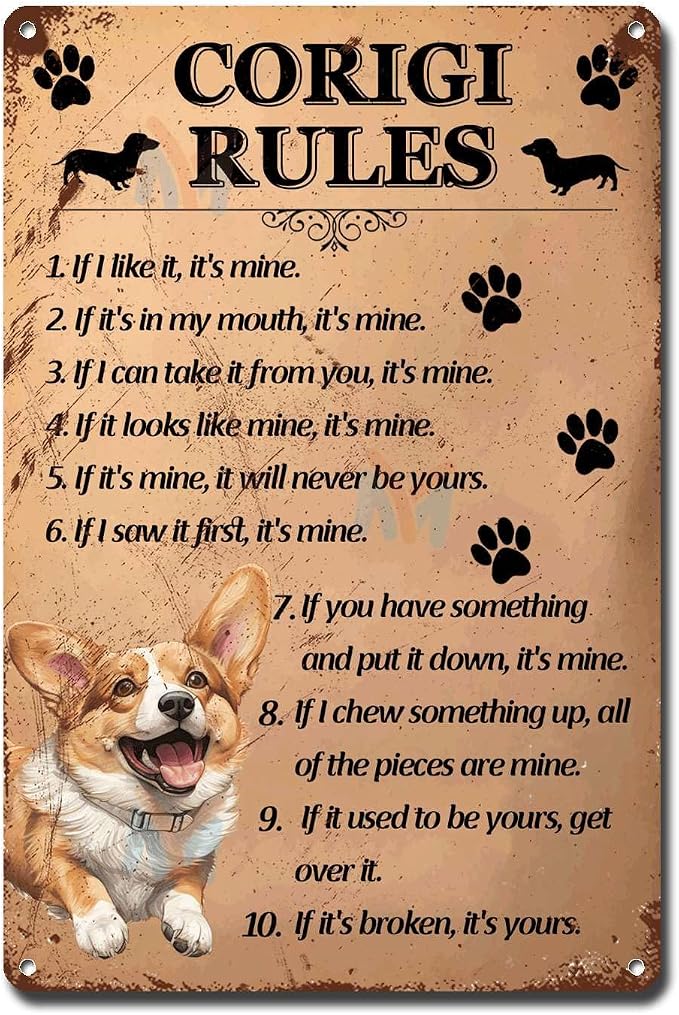 Metal Sign Tin Sign Vintage Wall Art Corigi Rules Garage Sign for Pub 12×16 Inches