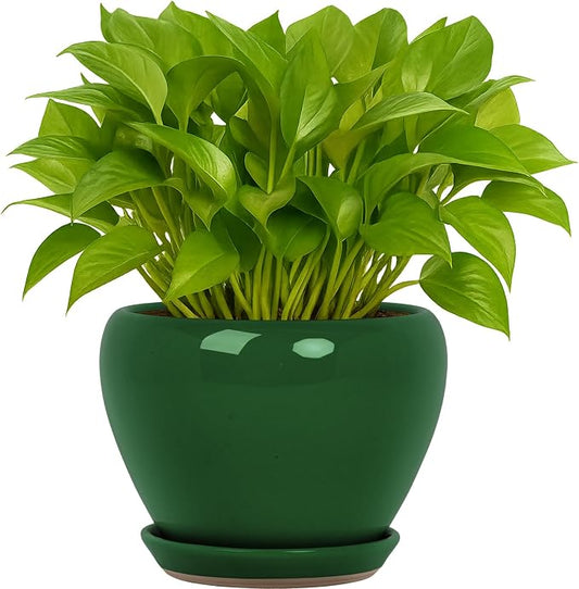 Deep Dream 6 Inch Plant Pots- Ceramic Planter Pot with Drainage Hole and Saucer, Round Flower Pot for Indoor Outdoor Succulent, Snake Plants and Cactus, Green