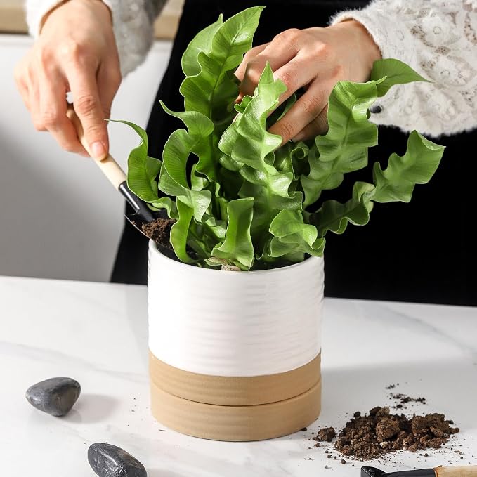 HASENSE Small Plant Pots, 4.6 Inch Ceramic Flower Pots with Two-Tone Glaze Design, Indoor Outdoor Planter with Drainage Hole and Saucer, Cute Tabletop Decor, 4 Pack, White-Brown