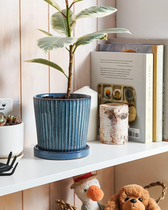 LE TAUCI Ceramic Pots for Plants, 5.5 Inch Plant Pots with Drainage Hole and Saucer, Indoor Plant Pots for Succulent, Snake Plants and Cactus, Flower Pots, Set of 2, Reactive Glaze Blue