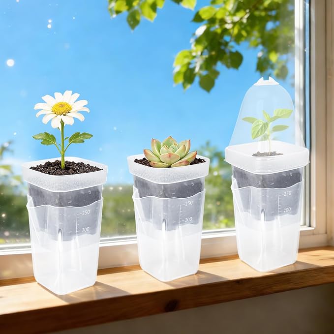 12 Pack 2.5" Self Watering Propagation Pots with Humidity Dome, Clear Plastic Seed Starter Cups, for Seedlings, Cuttings, Succulents, Herbs, Vegetables, with 12 Labels Included (Transparent 12 Pack)