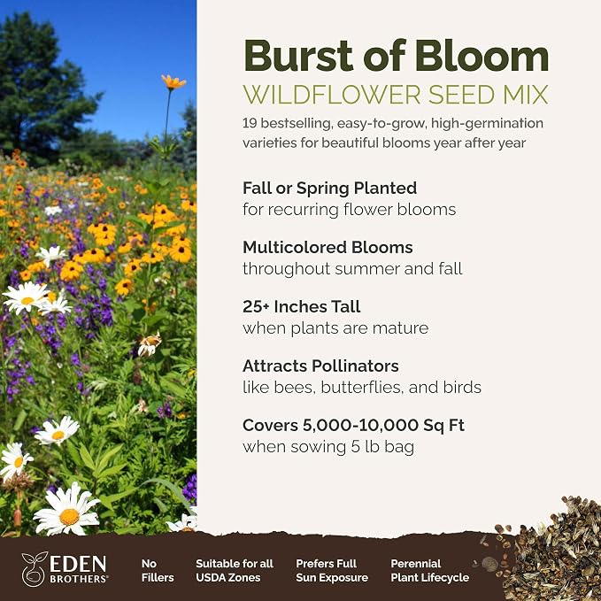 Eden Brothers Burst of Bloom Wildflower Mixed Seeds for Planting, 5 lb, 2,400,000+ Seeds with Cosmos, Black Eyed Susan | Attracts Pollinators, Plant in Spring or Fall, Zones 3, 4, 5, 6, 7, 8, 9, 10