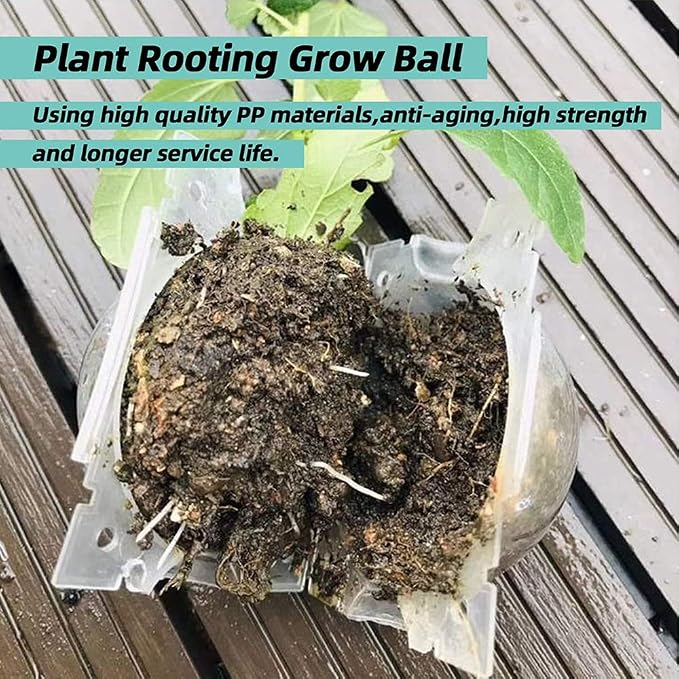 Air Layering Pods, Reusable Plant Rooting Device - Grow Box, High Pressure Propagation Ball Grafting Device - Botany Root Controller (3.1"6PCS), Transparent