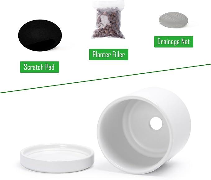 D'vine Dev 3.5 Inch Ceramic Planter Pot with Drainage Hole and Saucer, Indoor Cylinder Round Planter Pot, White, 94-O-A-1