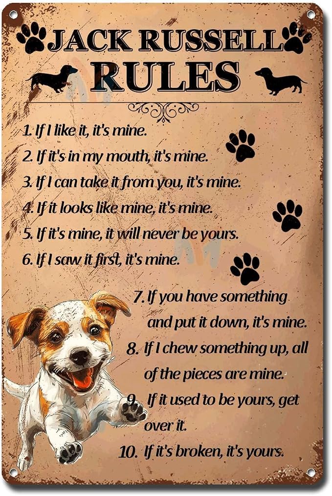 Metal Sign Tin Sign Vintage Wall Art Jack Russell Rules Metal Signs Vintage for Restaurant 6×8 Inches