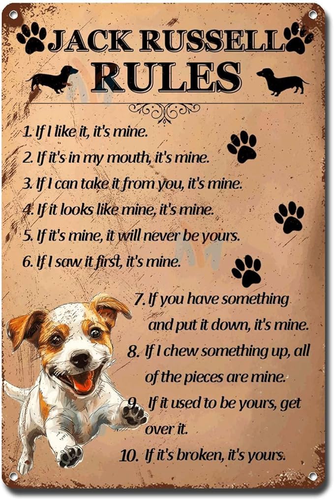 Metal Sign Tin Sign Vintage Wall Art Jack Russell Rules Tin Sign Garden Gift for Bar 8×12 Inches