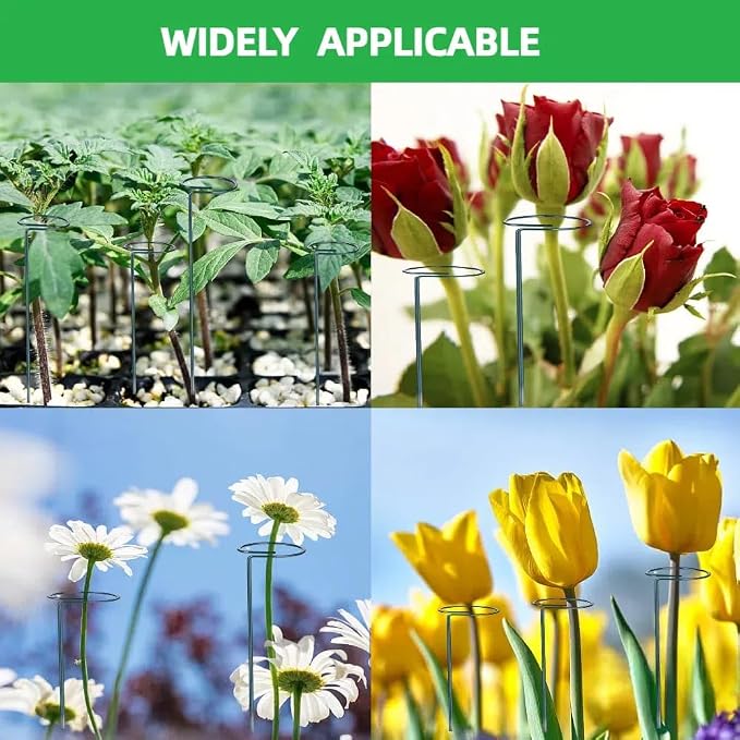 4-Pack Adjustable Plant Support Stakes - Heights: 12"/24"/36" - Stainless Steel & Deep Green - Plant Stakes for Indoor & Outdoor Plants, Gardens, Flowers, Tomatoes, & Vegetables