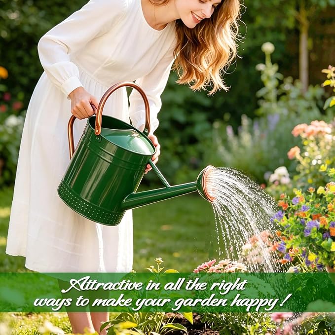 2 Gallon Meltal Garden Watering Can Removable Spout, Galvanized Steel Large Water Can with Embossed Design for Outdoor Indoor Plants (Green, 2 Gallon)