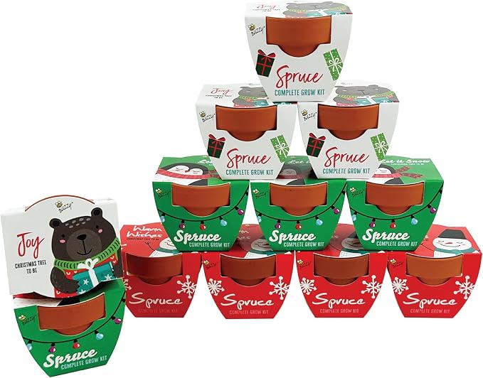 BUZZY Seeds Holiday Mini Spruce Grow Kit 12-Pack - Mini Terracotta Pot Grow Set - Complete Indoor/Outdoor Gardening Kit with Seeds, Coconut Husk Growing Medium & Genuine Pots - 100% Grow Guarantee