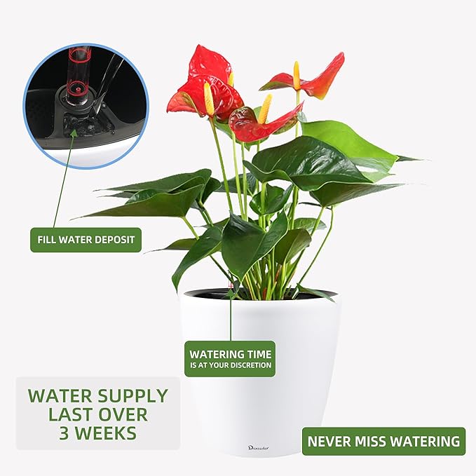 Dexceder 13x12 Self Watering Planter with Wheels (White Matte) | Inner Pot Design, Thickened Large Floor Standing Flower Plant Pot with Water Level Indicator Indoor Outdoor