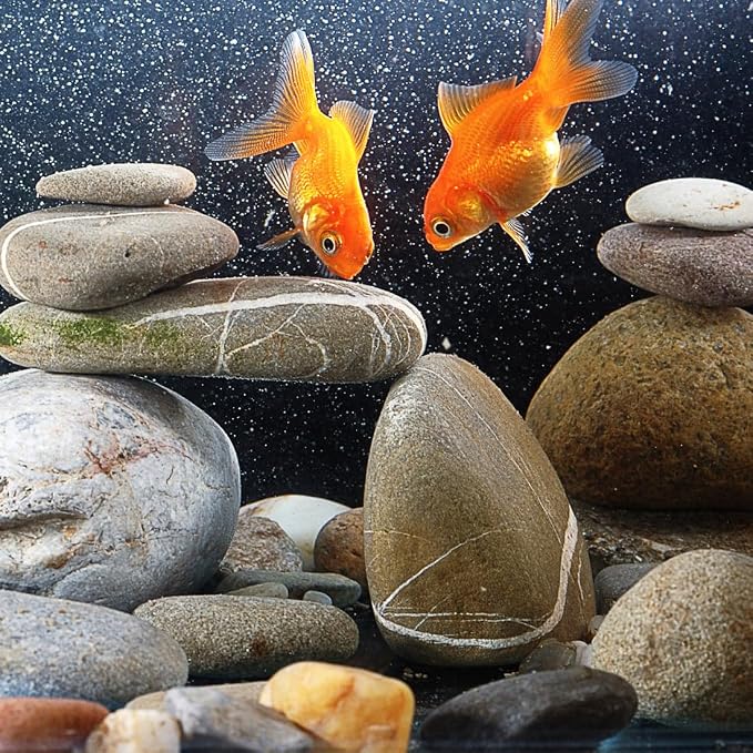 YISZM 20lbs Natural River Rocks, 2"-3" Premium Pebbles for Garden and Landscape Design, Hand-Picked Smooth Stones for Fish Tank, Flower Pots, Indoor Water Fountains, Pathways, Backyard
